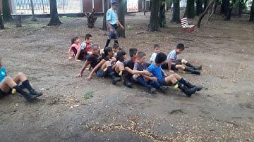 Juegos manada