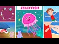 Jellyfish Quiz