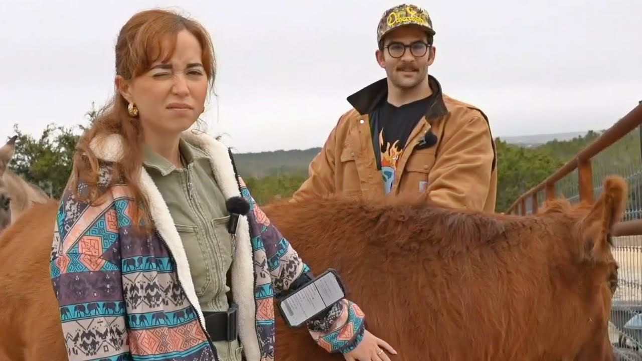 HasanAbi Hugs Animals