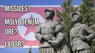 What Does North Korea Export Anyway? | Untold Wealth