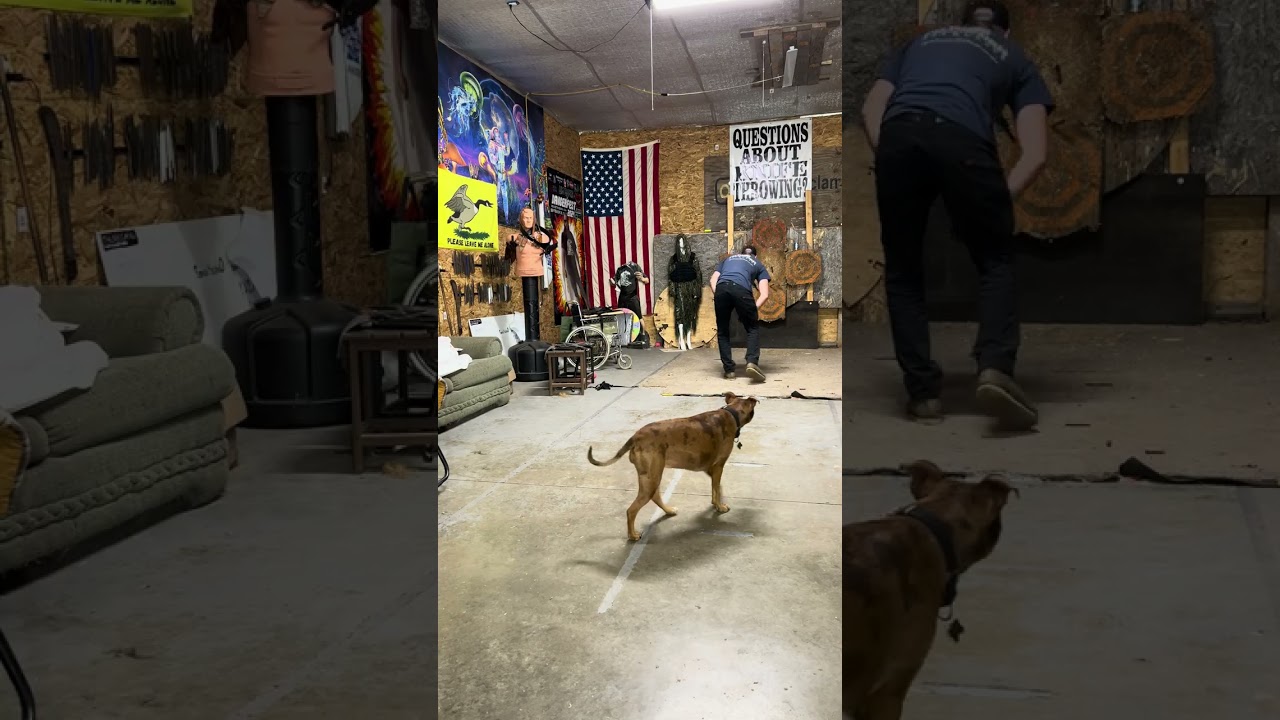 The Process of Learning Something New. 