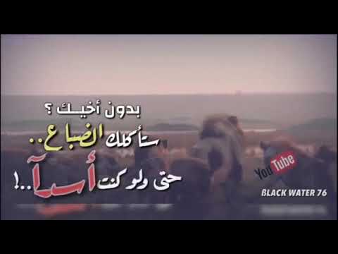 سند ضهرك هو أخوك