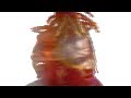 Ohana Bam - We Want It [Audio]