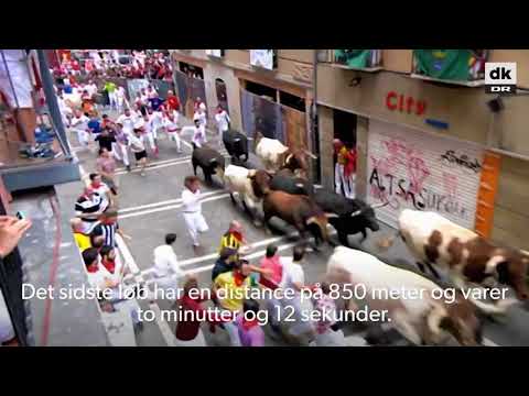 Video: Hvorfor Kører Spaniere Tyrløb