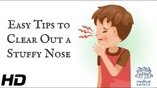 Easy Tips to Clear Out A Stuffy Nose