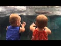 Twins first time at seaworld!