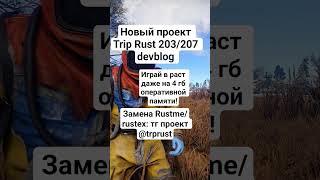Раст на 4гб оперативной памяти #rust #растмирейд #игры