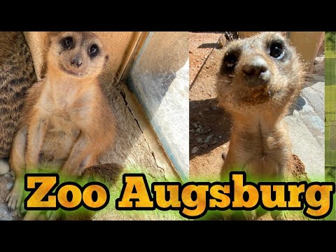 Augsburger zoo