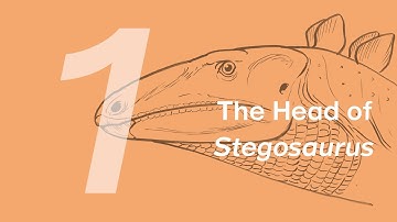 Biber the Stegosaurus 1: The Head | Learn to Draw Dinosaurs with ZHAO Chuang