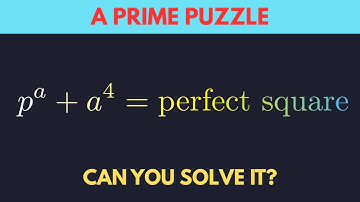 Can You Solve This Impossible Number Theory Puzzle? p^a + a^4 = k^2