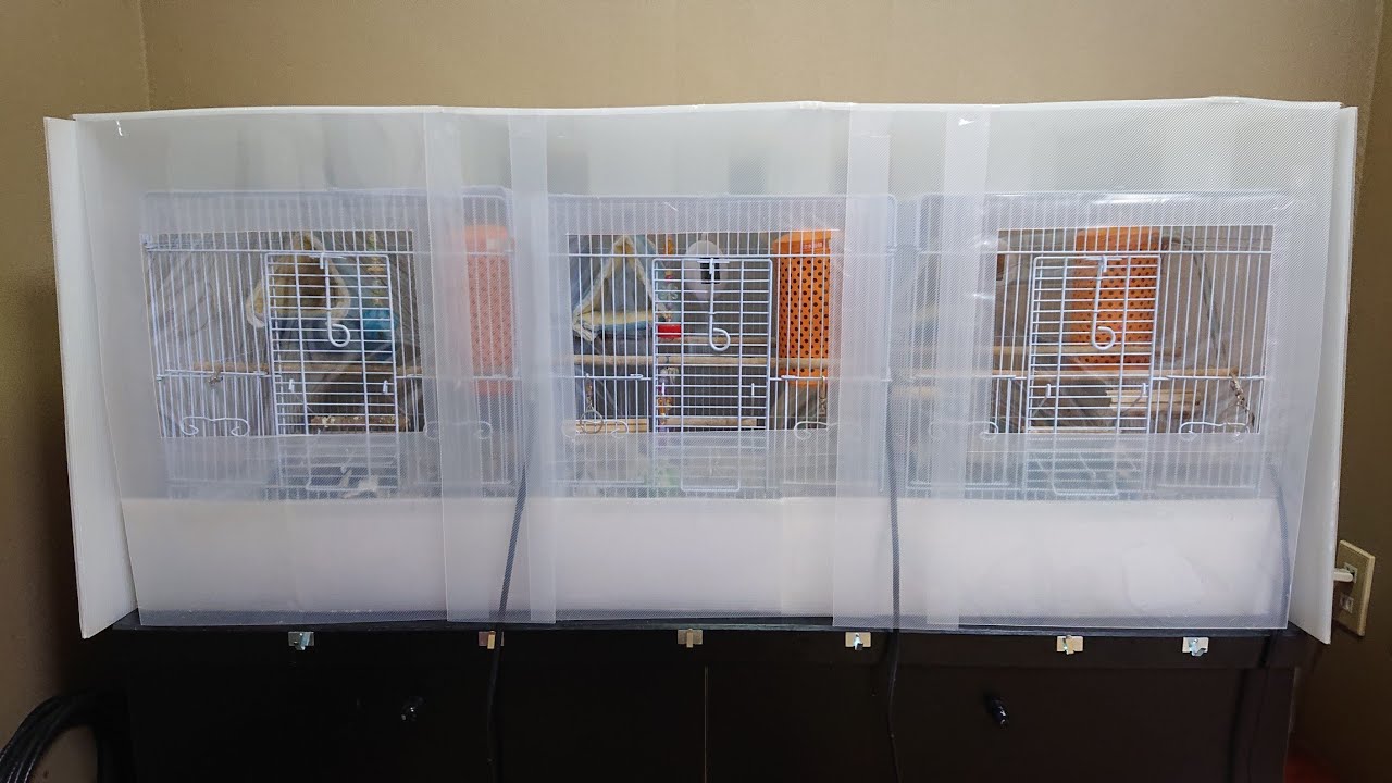 【激安の保温ケースは、再利用出来るんです！】コザクラインコ・ボタンインコ