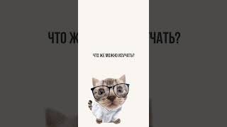 Теперь получить внж очень просто!  #жизньвиспании #испаниясегодня #учебазаграницей
