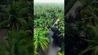sony vlog camera bangla vlog as vlogs adventure vloggers sonyzv 1f