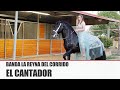 Banda La Reyna del Corrido - El Cantador [ Audio Oficial ] MusiCanal