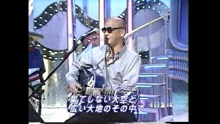 松山千春　大空と大地の中で（1995年）