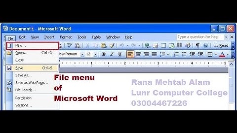 How to Use The File Menu In Ms Word 2003 in Urdu/Hindi - Lunar Computer College