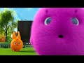 Sunny Bunnies |  On the Other Side of the Screen | COMPILATION | Cartoons for Children
