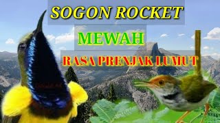 SOGON ROCKET MEWAH // RASA PRENJAK LUMUT