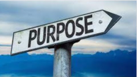 Finding meaning and purpose in life - Dr Michael Steger