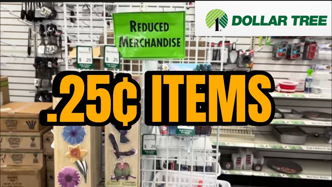 I Found 25¢ Items at Dollar Tree …Let’s See What I Got! 