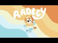 Radley being my favorite character for 3 minutes  bluey