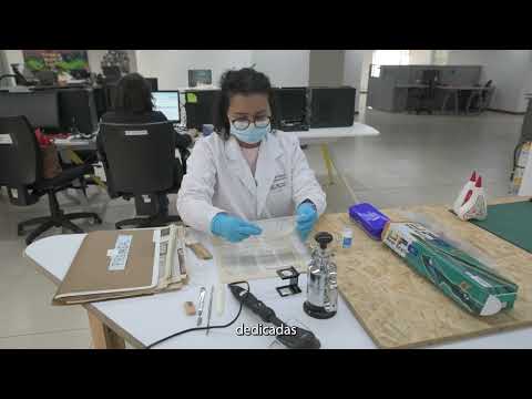 Cápsula - Fondo Documental: Derecho al Honor, 2012.