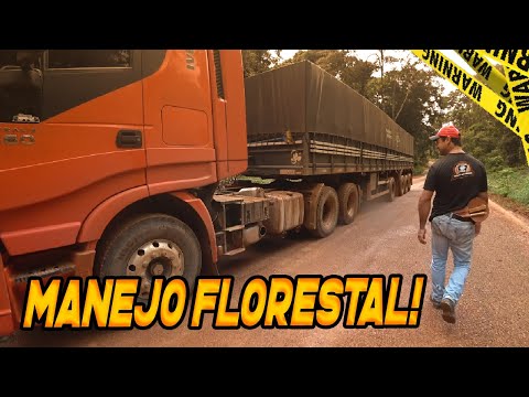 NENI fala sobre MANEJO FLORESTAL | NENI ao EXTREMO – Ep.12