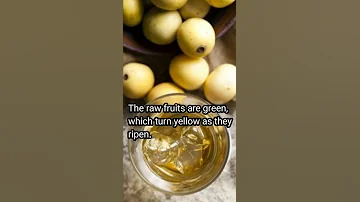 Marula Fruit | Some Interesting facts about Marula | tree,but and fruit | #viral #shorts
