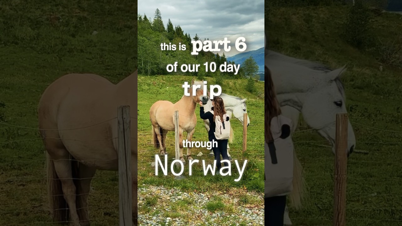 Norway with a rooftop tent | Day 6 | iKamper skycamp mini