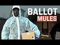 Ballot Harvesters Made 5,668 Illegal Dropbox Dumps, Were Paid $10/Vote in Georgia: Election Watchdog
