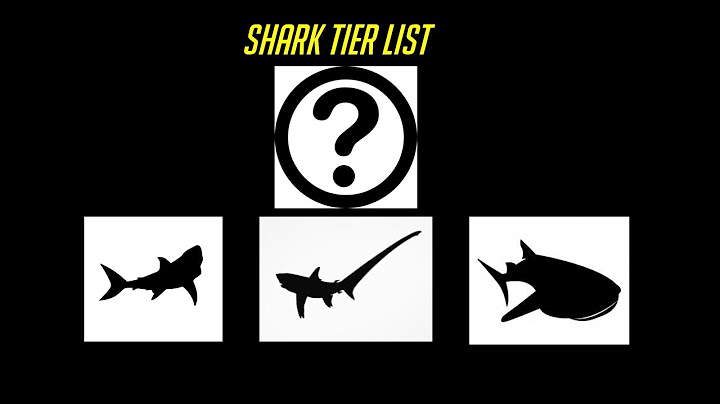 The Shark Tier List