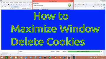 How to Maximize window and Delete all the cookies in selenium webdriver