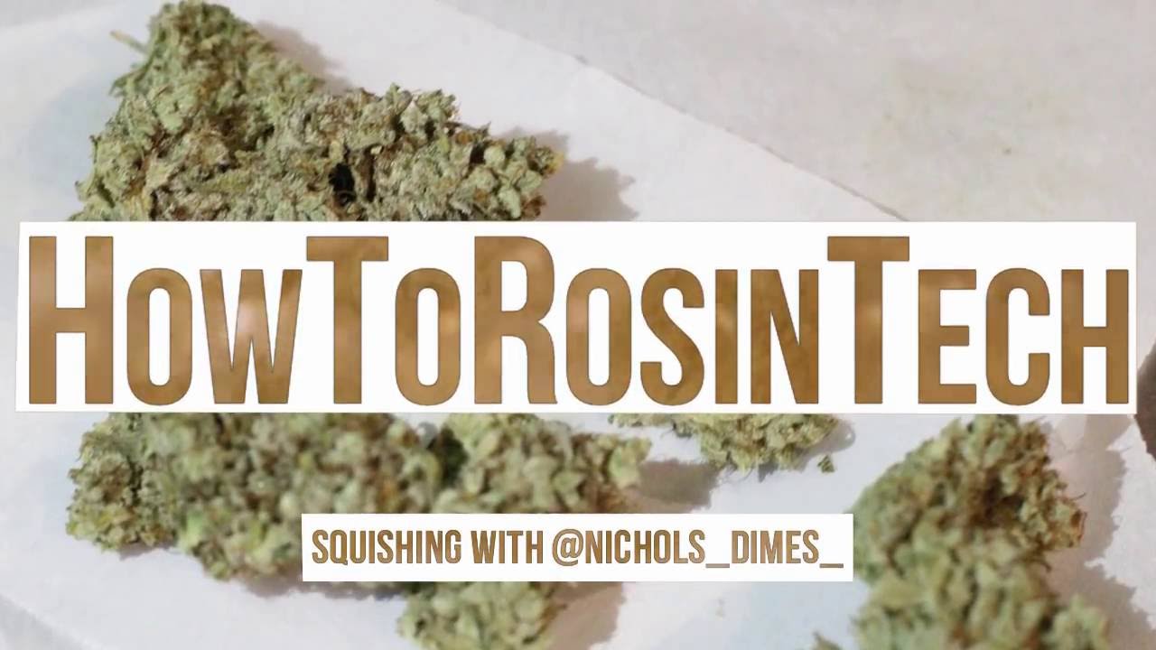 HowToRosinTech squishing with @nichlos_dimes_ on an EzSqeeze Press