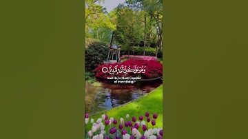 أحمد النفيس سورة الملك اجمل حالات واتس اب دينية 🎧😌