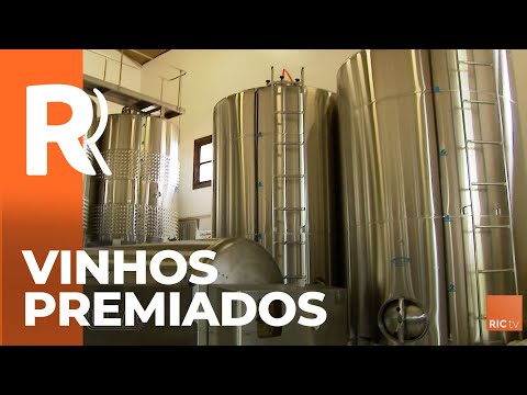 Vinhos premiados do Paraná na França