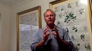 Peppermint Oil Functions And Energetics Terry Power