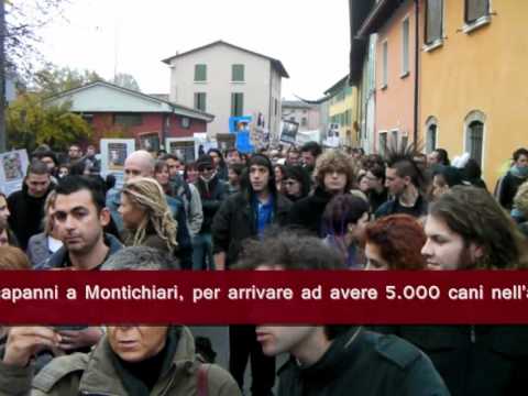 Fermiamo Green Hill! Il corteo a Montichiari del 6...