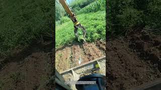 Excavators Claw Clears Thick Vegetation In Seconds