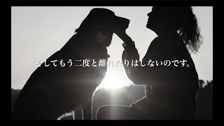 【虹の橋】ペットロスで苦しんでいる飼い主を救う感動の物語