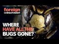 Are we living through an insect extinction? | Foreign Correspondent