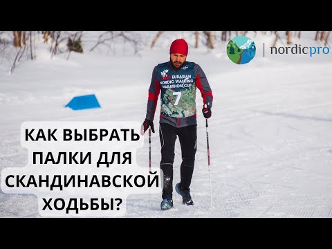 Как выбрать палки для скандинавской ходьбы?