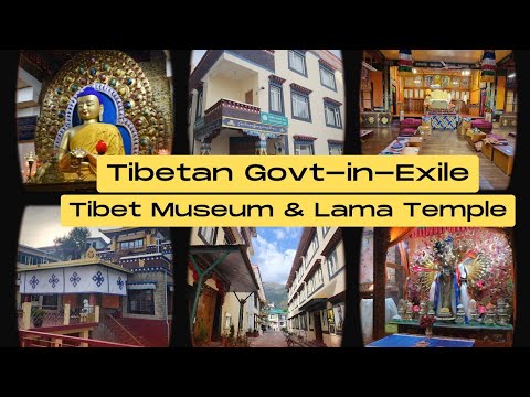 Video: Mcleod Ganj: Tibeto bendruomenės namai Indijoje