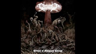 Ceremonial Bloodbath - Genesis of Malignant Entropy