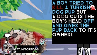 I save a Pup and bring it home//#budsforbuddies #budsforbuddiesyt #budsforbuddiesytt #animation#edit