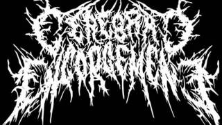 Cerebral Engorgement - Retro Is Gay