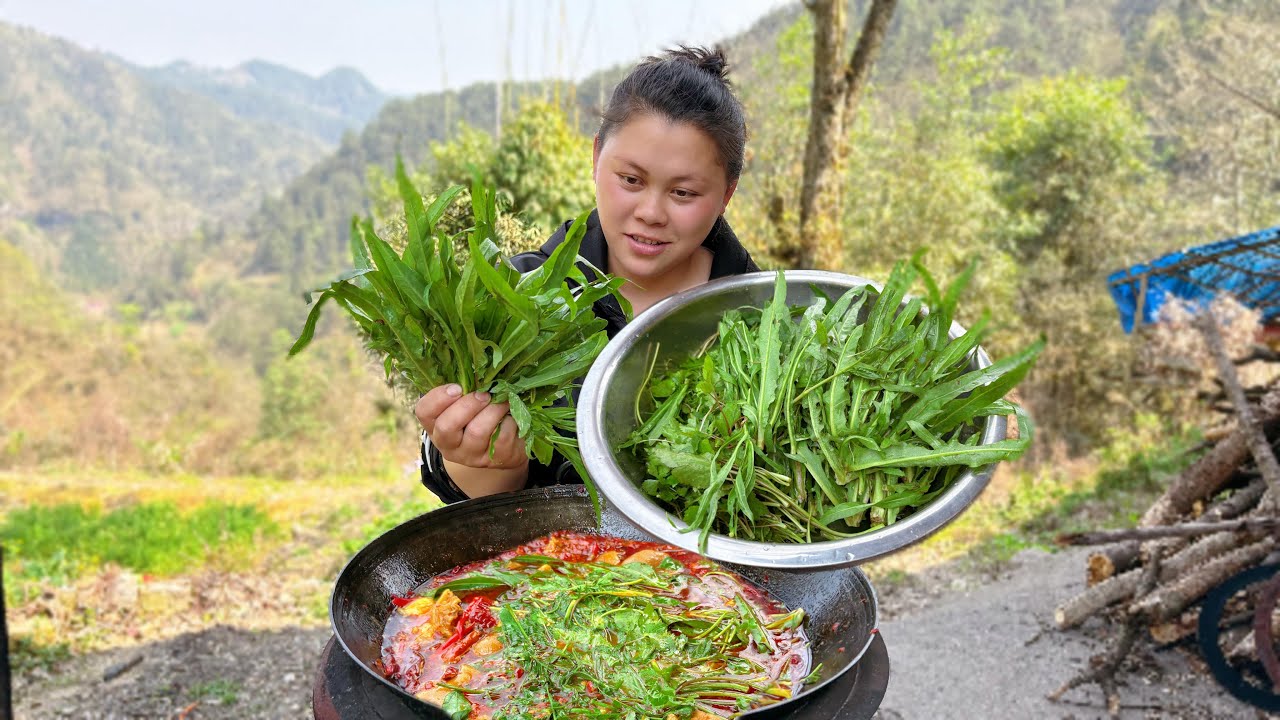 今天摘了很多野菜，做个香辣的猪脚火锅吃过瘾 Today, I picked a lot of wild vegetables to make a hot pot