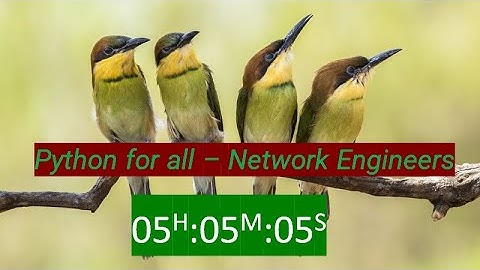 Python For All -- Network Engineers
