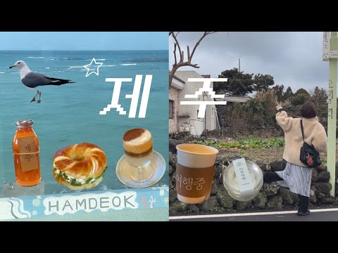제주도 여행🌴vlog l 우당탕탕 제주도 여행기🩵 ㅣ빵지순례, 감성카페, 소품샵 ㅣ런던베이글뮤지엄, 아베베, 그옛맛, 골목카페옥수,카페한라산