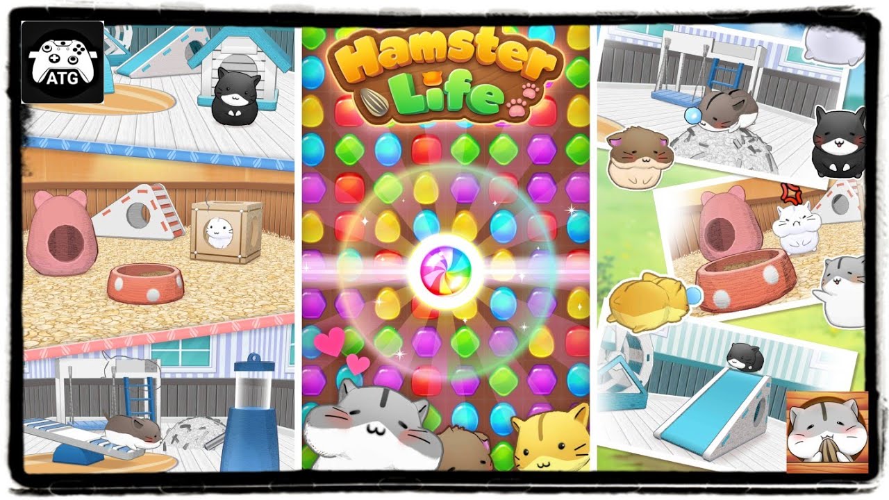 Hamster Life match and home - Apps on Google Play