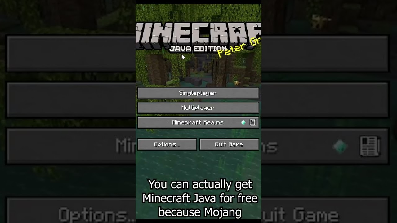 preview_player